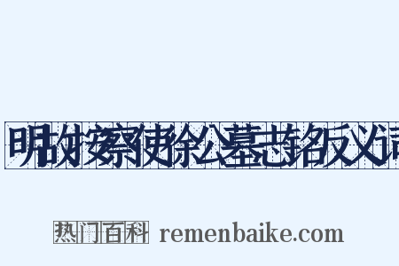 明故按察使徐公墓志铭反义词是什么意思的图片